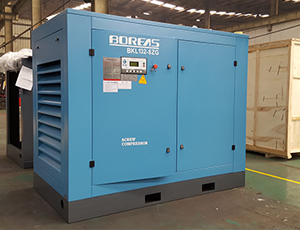 Boreas Screw Compressor