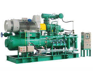 Industrial Refrigeration Heat Pump Applied Screw Compressor