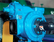 ORC Screw Expansion Power Station